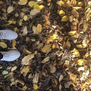 Meet your Posher, Ethan